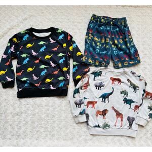 Dinosaur T Rex Kids Pajamas Loungewear 2 long sleeve tops and shorts Sz 5T